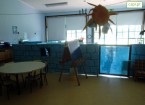 4ANOS-1